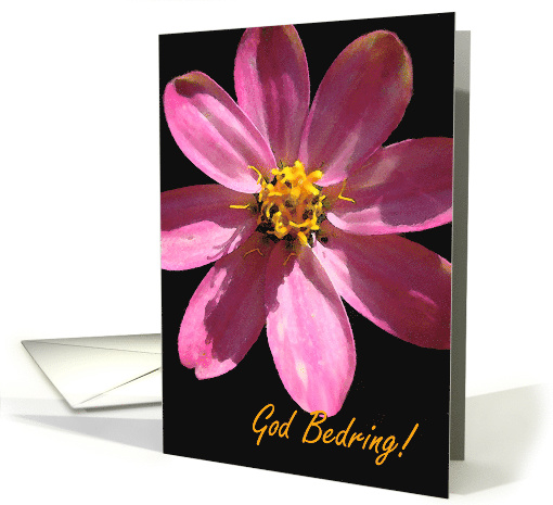 God Bedring Get Well in Norwegian with Pink Flower card (713611)
