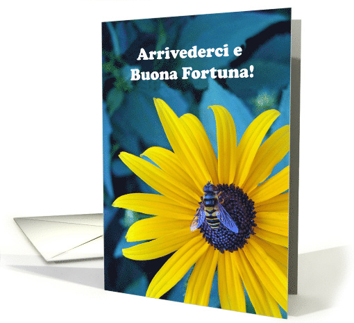 Italian Good Bye Good Luck Arrivederci e Buona Fortuna with Bee card