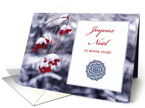 French Christmas Joyeux Noel with Red Berries in Snow card (717297)