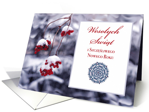 Polish Christmas with Red Berries Capped with Encrusted Snow card