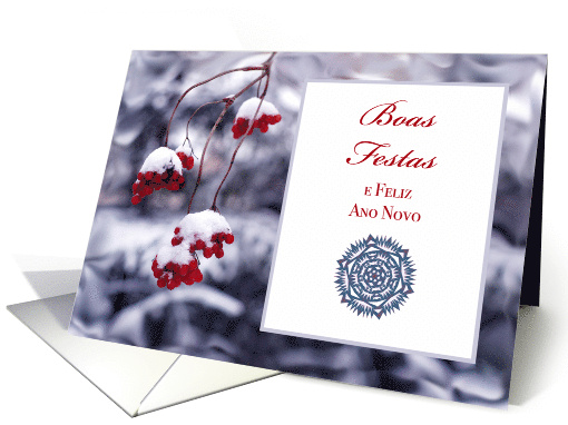 Portuguese Christmas Boas Festas with Winter Red Berries card (717305)