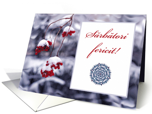 Romanian Christmas Sarbatori Fericite with Red Berries in Snow card