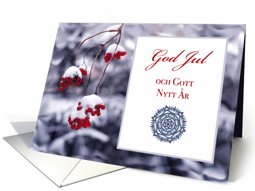 Swedish Christmas with Red Berries Encrusted with Snow card (717317)