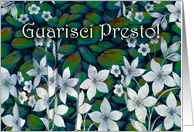 Get Well in Italian, White Flowers, Guarisci Presto card