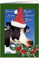 Funny Winter Solstice Yule Greetings With Cow Eating Holly card