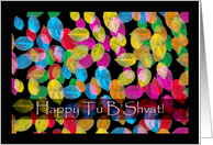 Tu B’Shvat, Colorful Leaves on a Black Background card