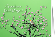 Norwegian Birthday Cards from Greeting Card Universe