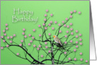 Birthday, Flowering Tree and Robin card