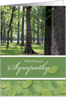 Sympathy Loss of Friend Trees and Leaves Photograph card