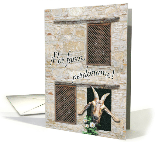 Forgive Me in Spanish Por Favor Perdoname with Goat Eating... (759363)