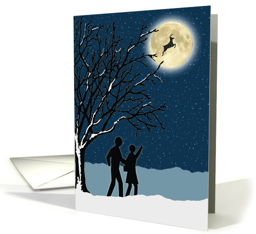 Flying Reindeer on a Winter Night Merry Christmas card (760706)