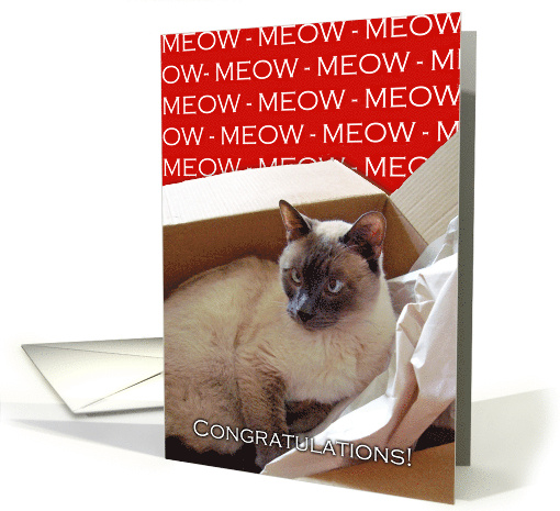 Congratulations, Siamese Cat in Box card (768350)