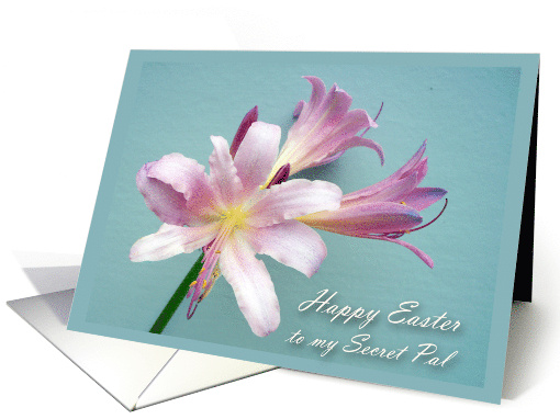 Easter for Secret Pal with Resurrection Lily Floral Photograph card