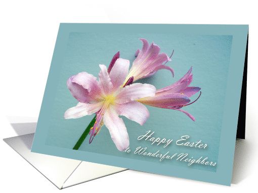 Easter for Neighbors with Violet Colored Resurrection Lily card