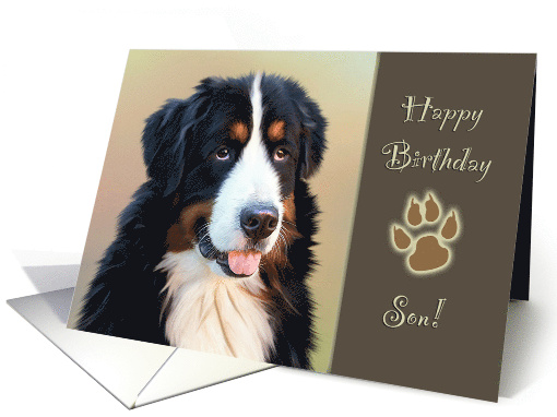 For Son Birthday with Bernese Mountain Dog and Big Paw card (790606)