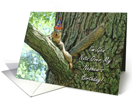 Nephew Birthday with Squirrel Wearing Hat card (797058)