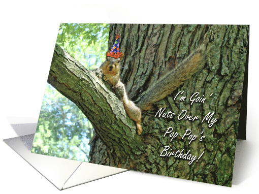 Pop Pop Birthday with Funny Squirrel In Party Hat card (797067)