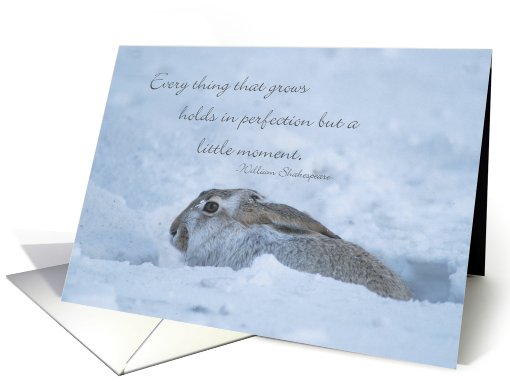 Winter Scene Greeting Card, Rabbit in the Iowa Snow card (800497)