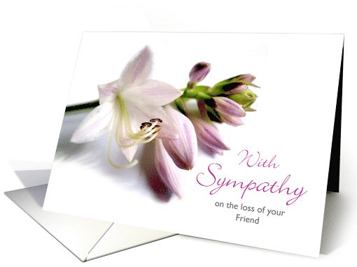 Friend Sympathy with Hosta Blooms in Mauve Colors card (806427)