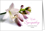 Friend Sympathy with Hosta Blooms in Mauve Colors card