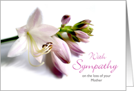 Mother Sympathy with Hosta Blooms in Mauve Colors card