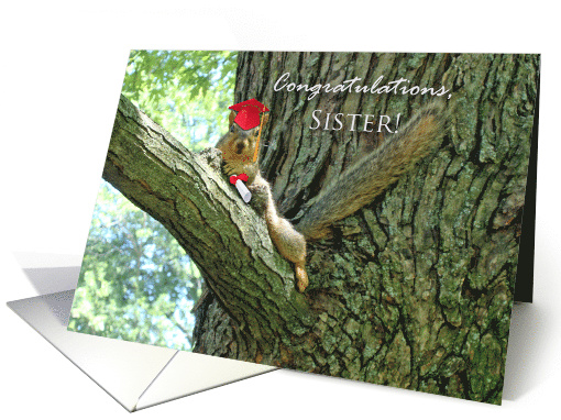 Congratulations for Sister with Squirrel Graduation Picture card