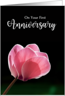 1st Wedding Anniversary with Pink Cyclamen on Black card