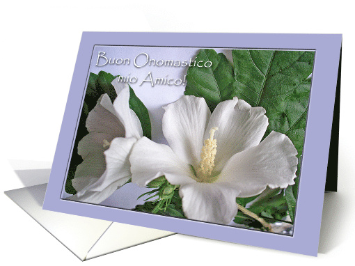 Name Day for Friend in Italian, White Hibiscus card (818872)