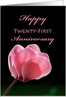 21st Wedding Anniversary, Pink Cyclamen card