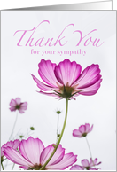 Thank You for Sympathy with Magenta Cosmos Flowers card