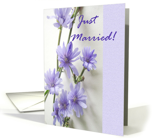 Just Married Announcement with Purple Chicory Flowers card (838723)