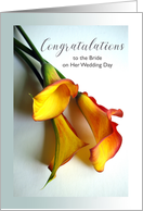 Bride Congratulations on Wedding Day with Mango Colored Calla Lilies card