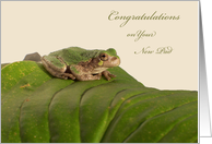 Congratulations on New Apartment, Tree Frog card