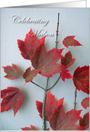 Mabon Autumnal Equinox, Red Maple Leaves card