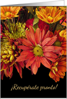 Spanish Get Well with Autumn Flower Arrangement card