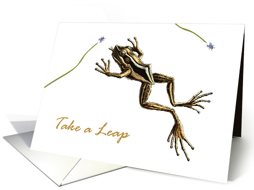 Leap Year Day with Vintage Leaping Frog Catching Flies card (898830)