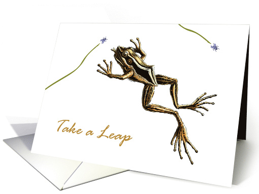 Leap Year Birthday with Vintage Frog Catching Flies card (904682)