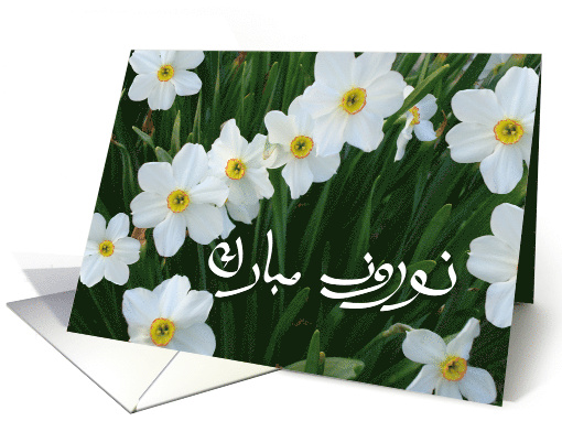 Persian New Year Happy Norooz in Farsi with Narcissus Flowers card