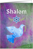 Shalom for Pesach with Peace Dove and Olive Branch card