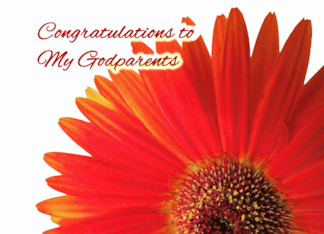Congratulations to Godparents on Wedding with Gerbera Daisy
