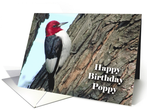 Birthday for Poppy with Red-headed Woodpecker card (926281)