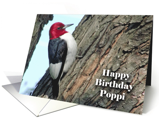 Birthday for Poppi with Red-headed Woodpecker in Tree card (926283)