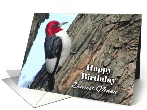 Birthday for Nonna with Red-headed Woodpecker in Tree card (926349)