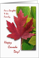 Canada Day for Daughter and Family, Red Maple Leaf card