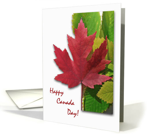 Canada Day, Red Maple Leaf card (928515)