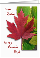 Canada Day from Quebec, Red Maple Leaf card