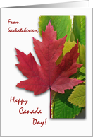 Canada Day from Saskatchewan, Red Maple Leaf card