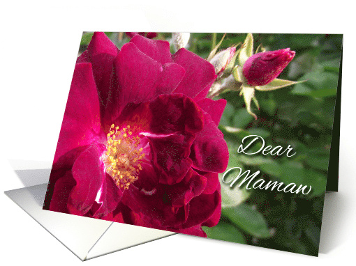 Get Well for Mamaw, Red Roses card (931679)