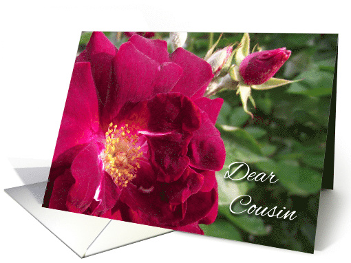 Get Well Soon for Cousin with Photograph of Red Roses card (931699)