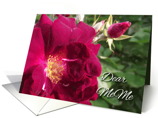 Grandparents Day for MeMe with Red Rose and Rose Bud card (939467)